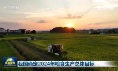 农业农村部最新公布 我国确定2024年粮食生产总体目标